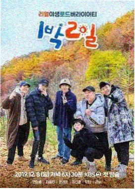 镜中回廊海报